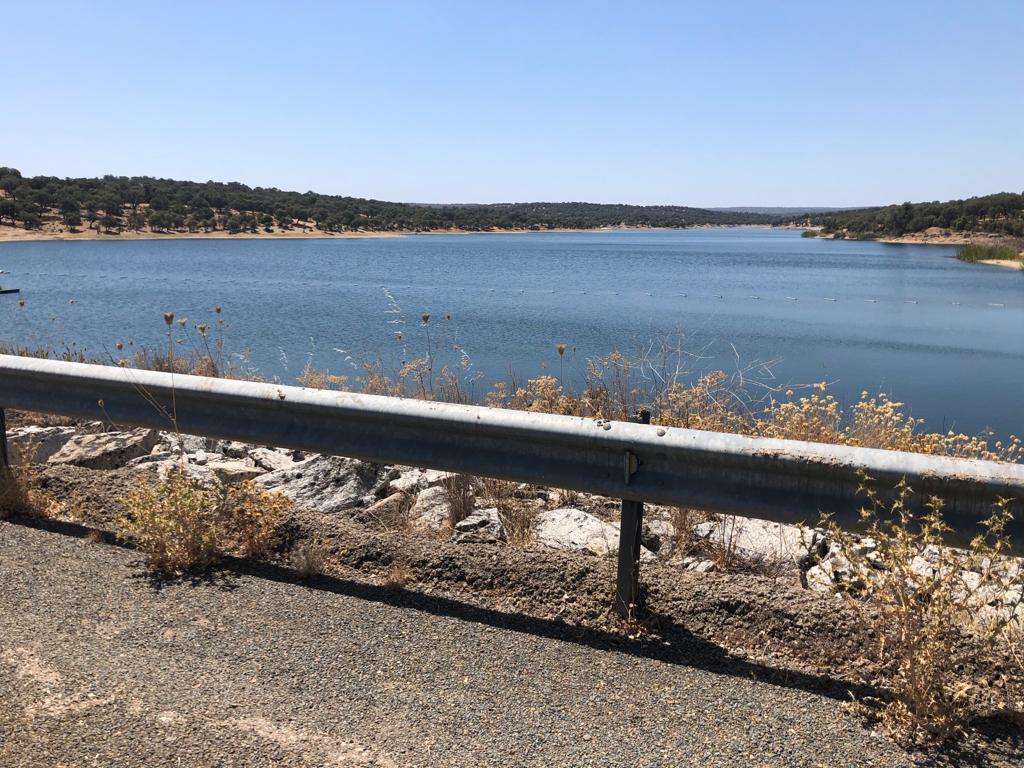 pantano